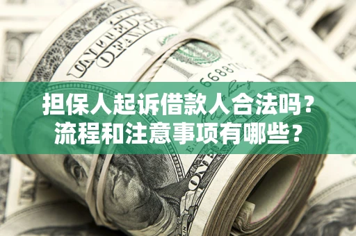 武汉担保人起诉借款人合法吗？流程和注意事项有哪些？