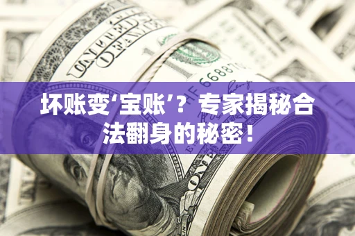 武汉坏账变‘宝账’？专家揭秘合法翻身的秘密！