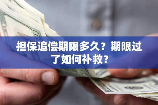 武汉担保追偿期限多久？期限过了如何补救？