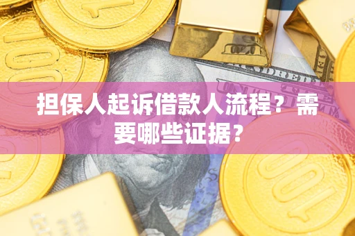 武汉担保人起诉借款人流程？需要哪些证据？