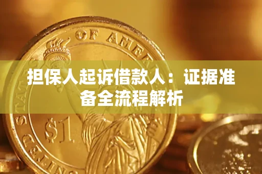 武汉担保人起诉借款人：证据准备全流程解析