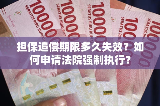 武汉担保追偿期限多久失效？如何申请法院强制执行？