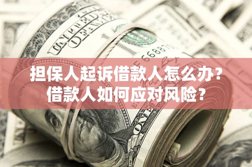 武汉担保人起诉借款人怎么办？借款人如何应对风险？