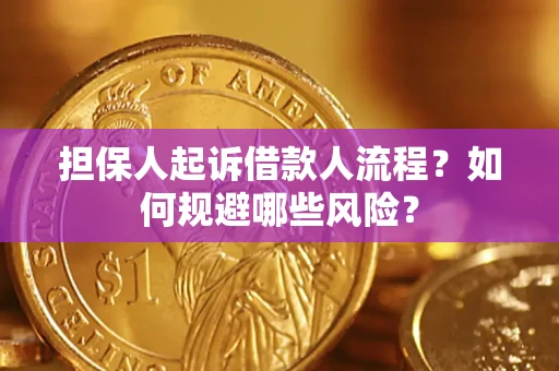 武汉担保人起诉借款人流程？如何规避哪些风险？
