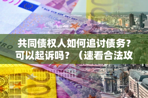 武汉共同债权人如何追讨债务？可以起诉吗？（速看合法攻略）