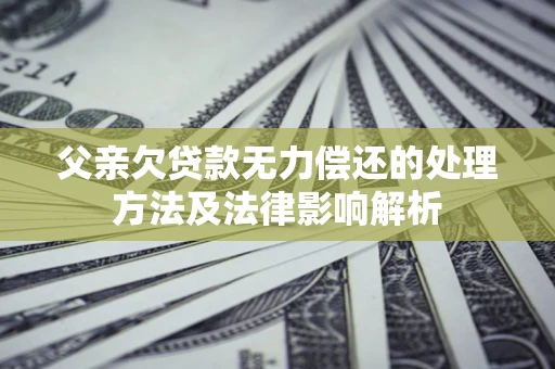 武汉父亲欠贷款无力偿还的处理方法及法律影响解析