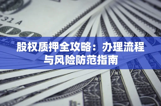 武汉股权质押全攻略：办理流程与风险防范指南