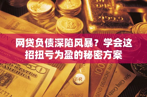武汉网贷负债深陷风暴？学会这招扭亏为盈的秘密方案