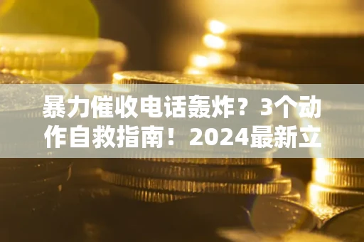 武汉暴力催收电话轰炸？3个动作自救指南！2024最新立案标准全解析