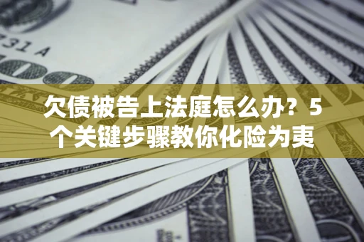 武汉欠债被告上法庭怎么办？5个关键步骤教你化险为夷