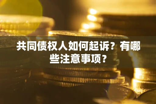 武汉共同债权人如何起诉？有哪些注意事项？