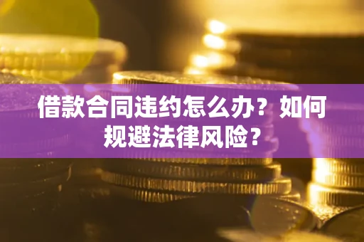 武汉借款合同违约怎么办？如何规避法律风险？